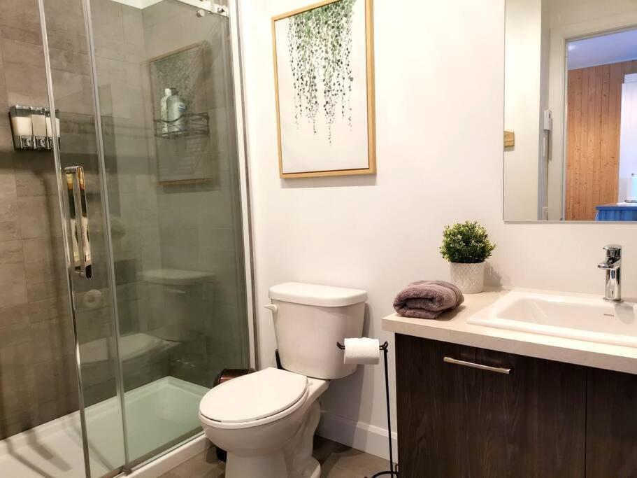 شقة Penthouse With Free Indoor Parking Downtown مدينة كويبيك المظهر الخارجي الصورة